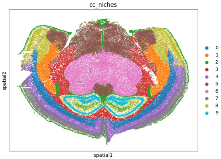 in-situ-spatial-cellcharter.png