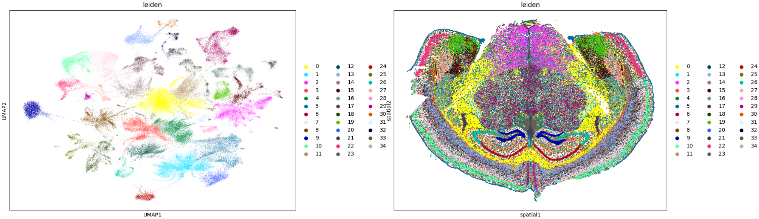 in-situ-spatial-leiden.png