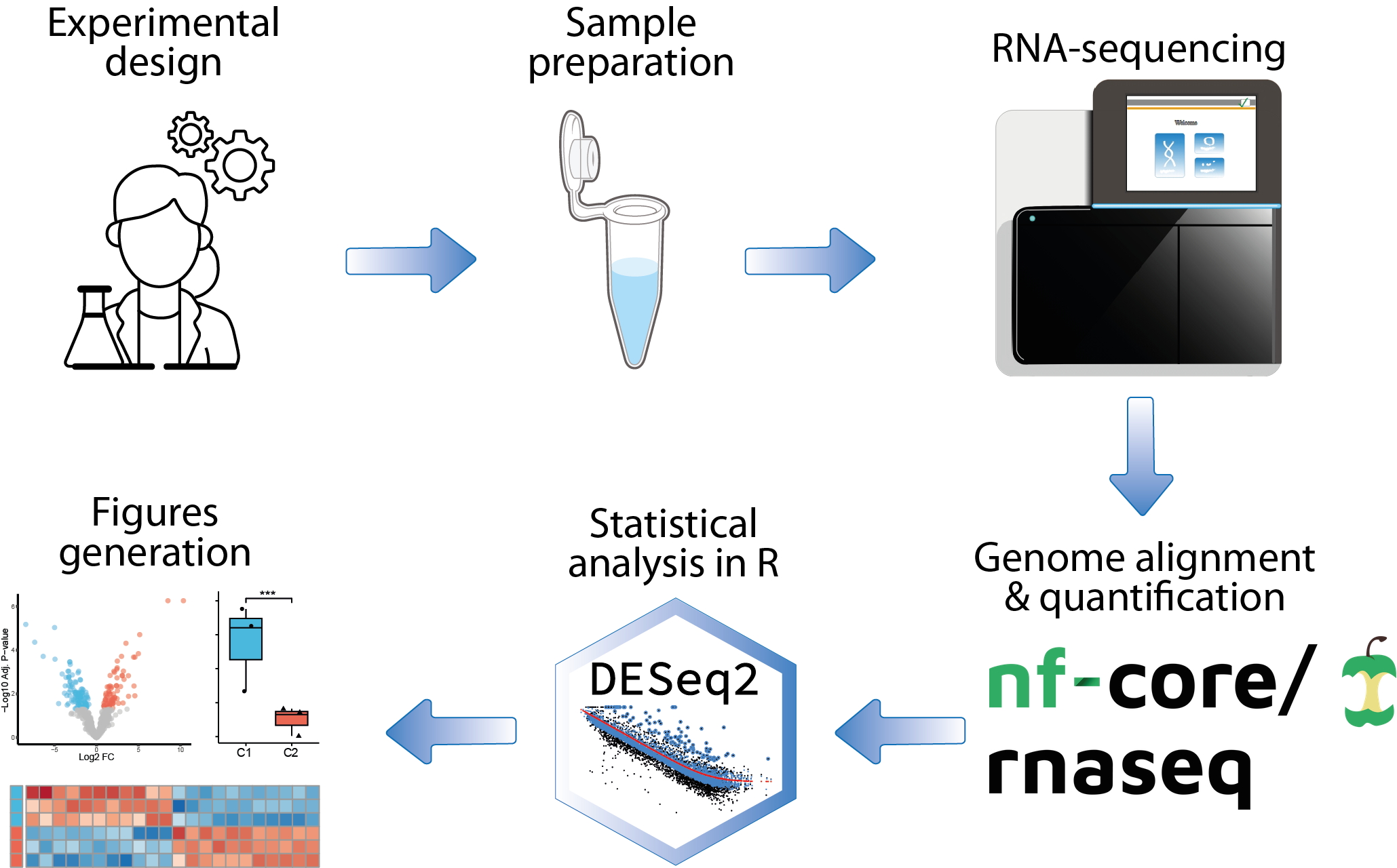 bulk RNA-seq