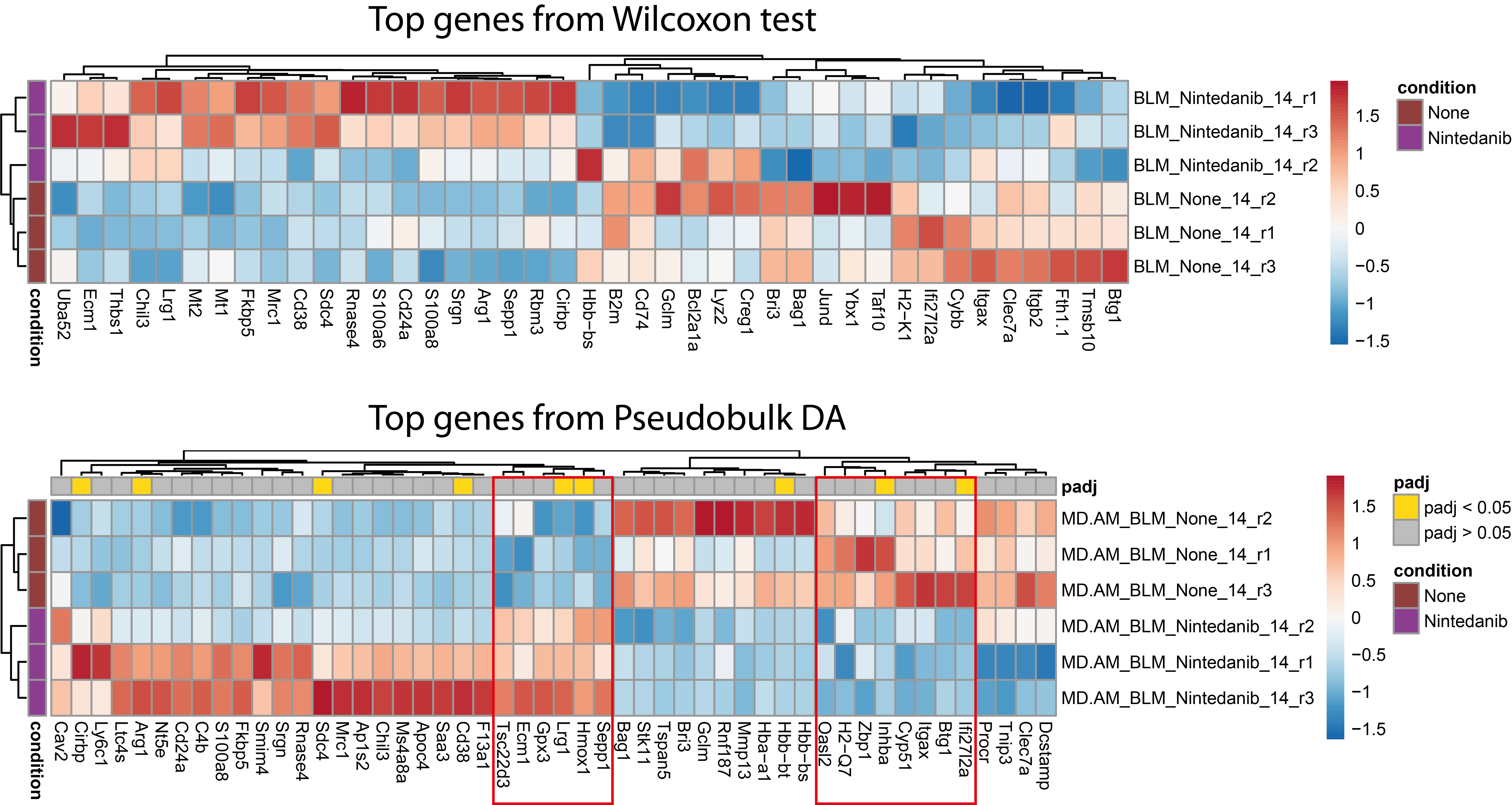 GSE151374_DEG_heatmap_WilcoxonvsDESeq2