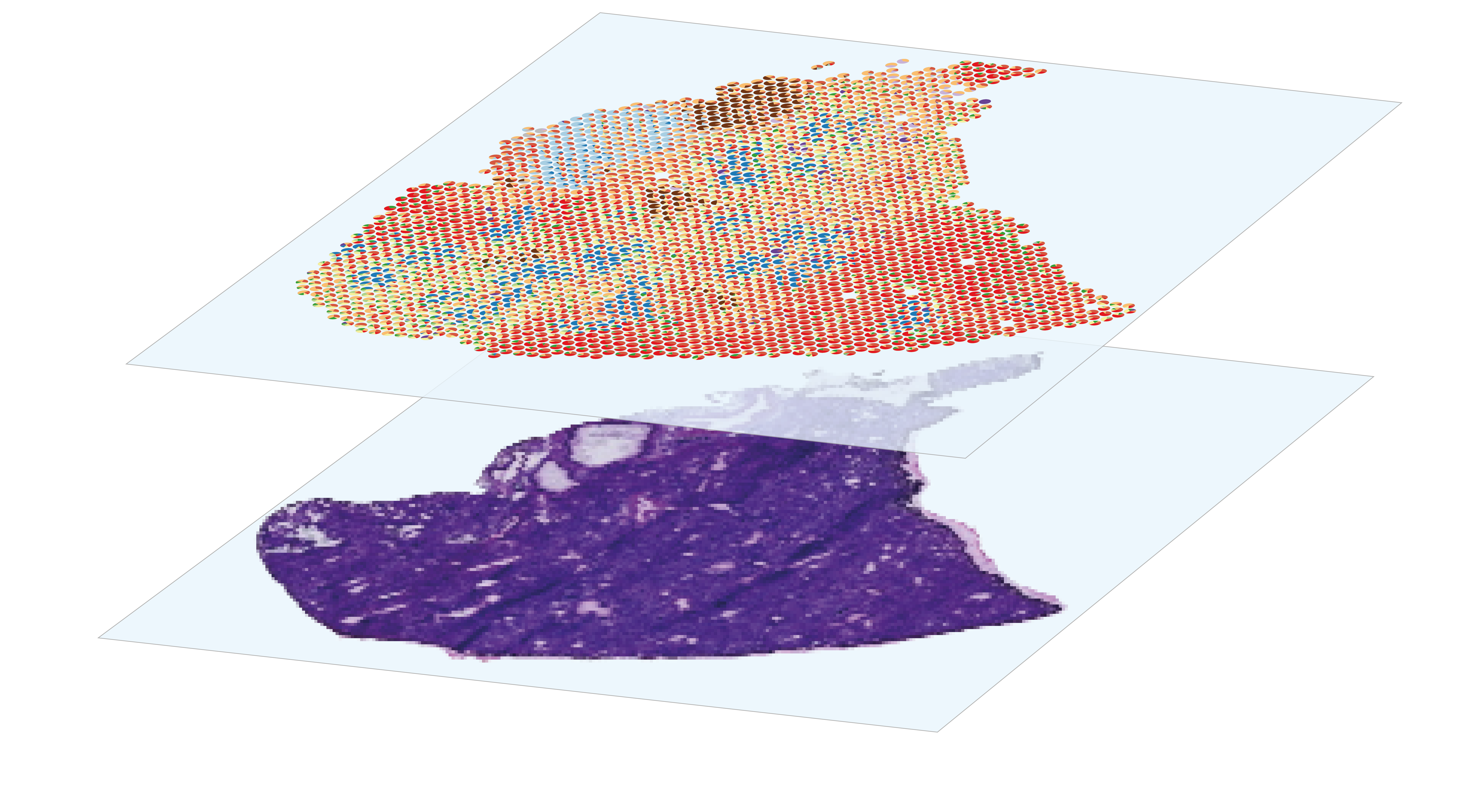 sequencing-based spatial transcriptomics